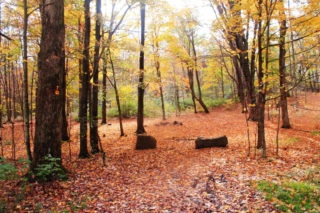 Photo: Campsite 7 Photo: Campsite 7