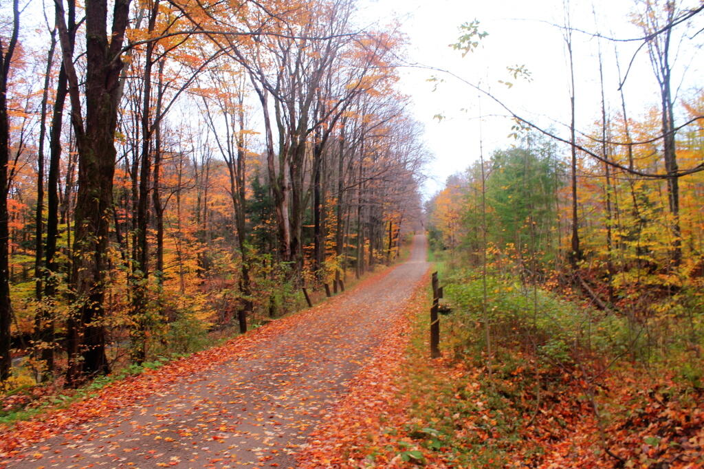 Photo: Hannum Forest Road Photo: Hannum Forest Road