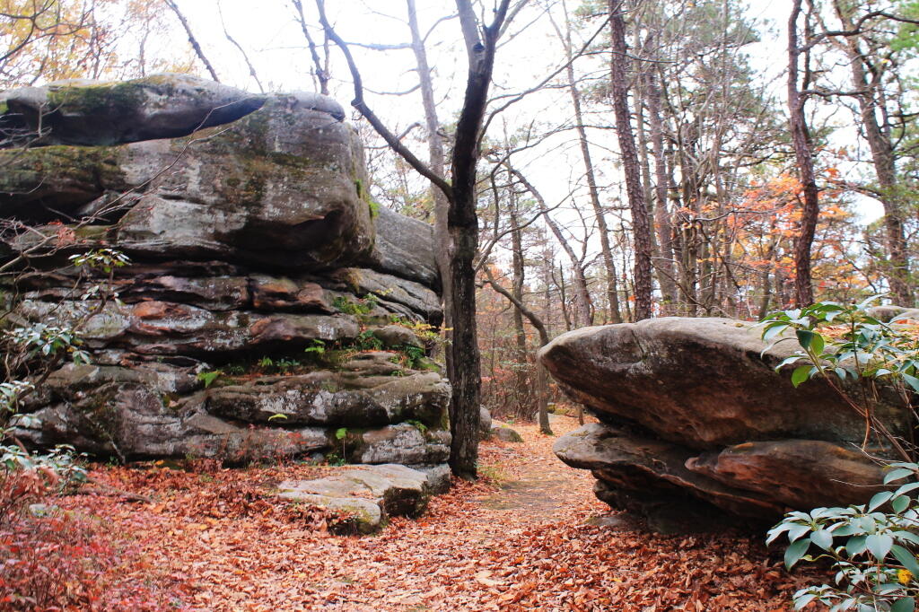 Photo: Jakes Rocks Photo: Jakes Rocks