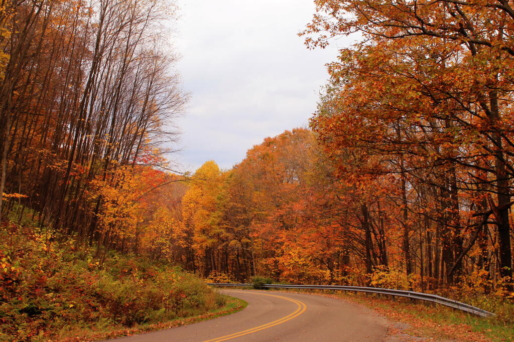 Photo: Route 492