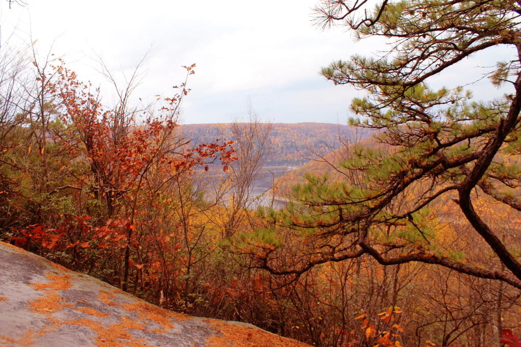 Photo: Unofficial Overlook