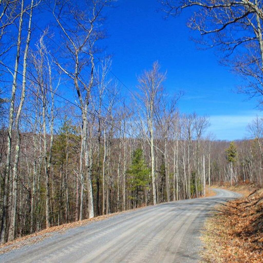 Photo: Lower Cotton Hill Road Photo: Lower Cotton Hill Road