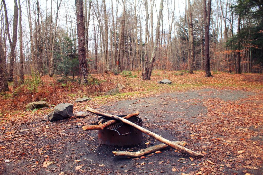 Photo: Accessible Campsite Along Russell Brook Road