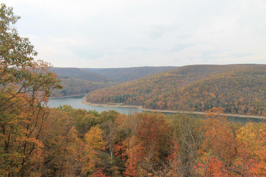 Photo: Towards Dewdrop Run Photo: Towards Dewdrop Run