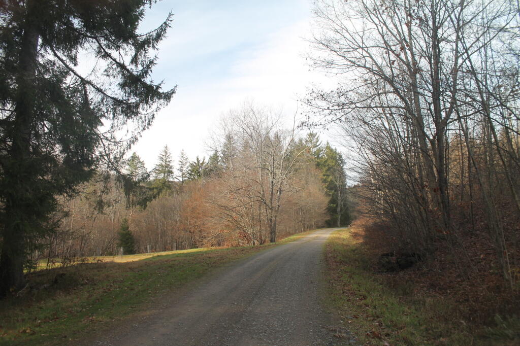 Photo: West Trout Brook Road Photo: West Trout Brook Road