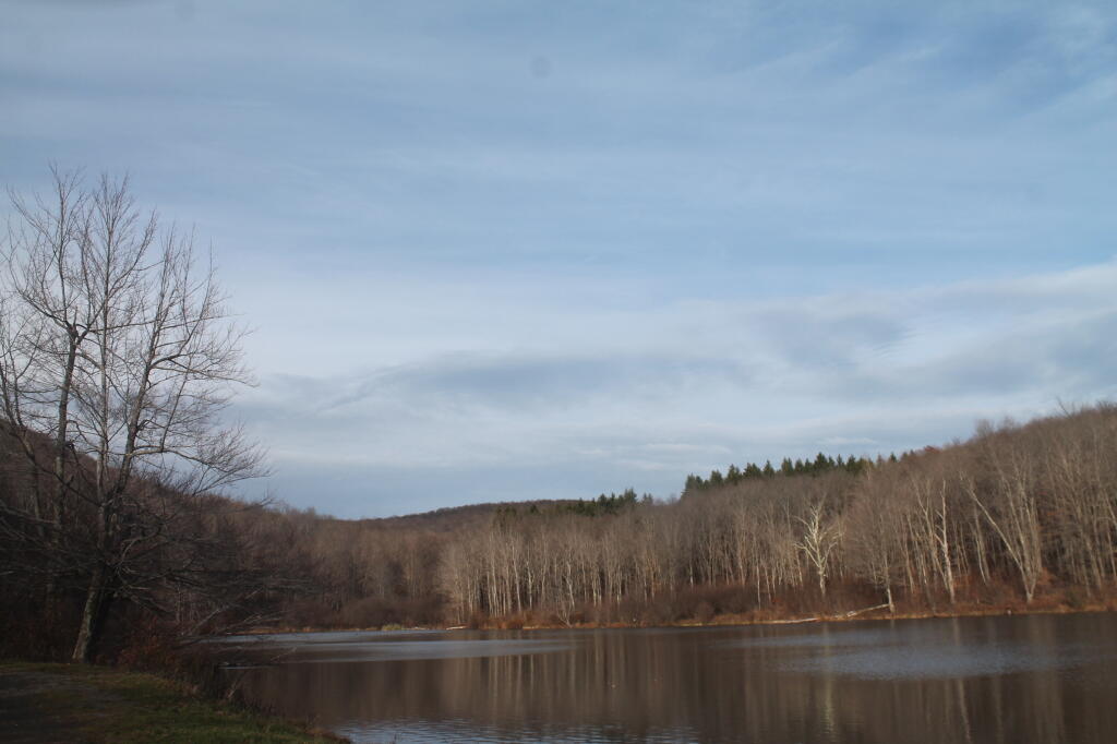 Photo: Russ Grey Pond Photo: Russ Grey Pond