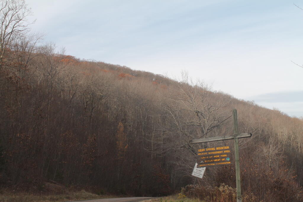 Photo: Bear Spring Sign Photo: Bear Spring Sign