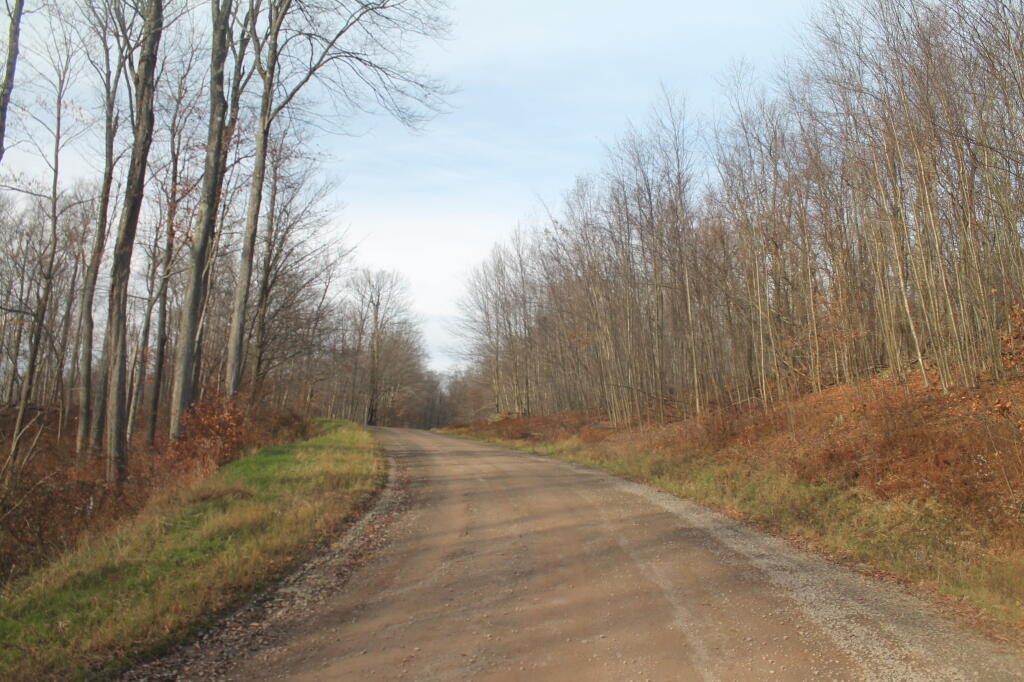 Photo: Beers Brook Road Photo: Beers Brook Road
