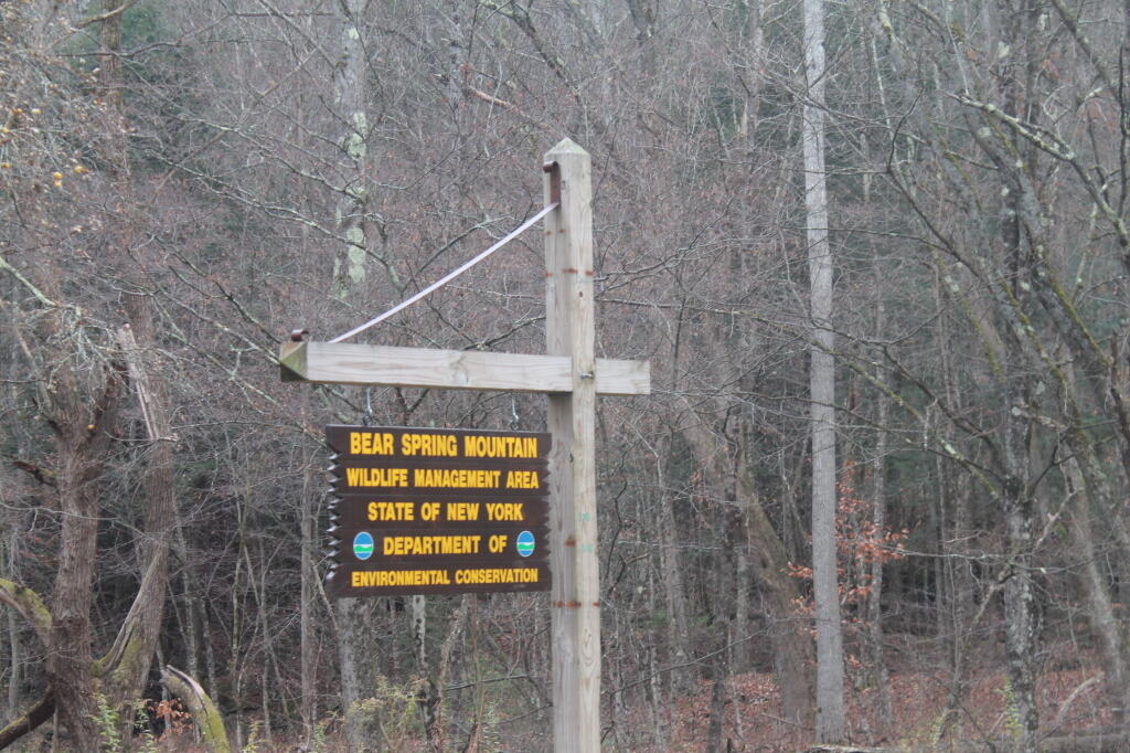 Photo: Bear Spring Sign Photo: Bear Spring Sign
