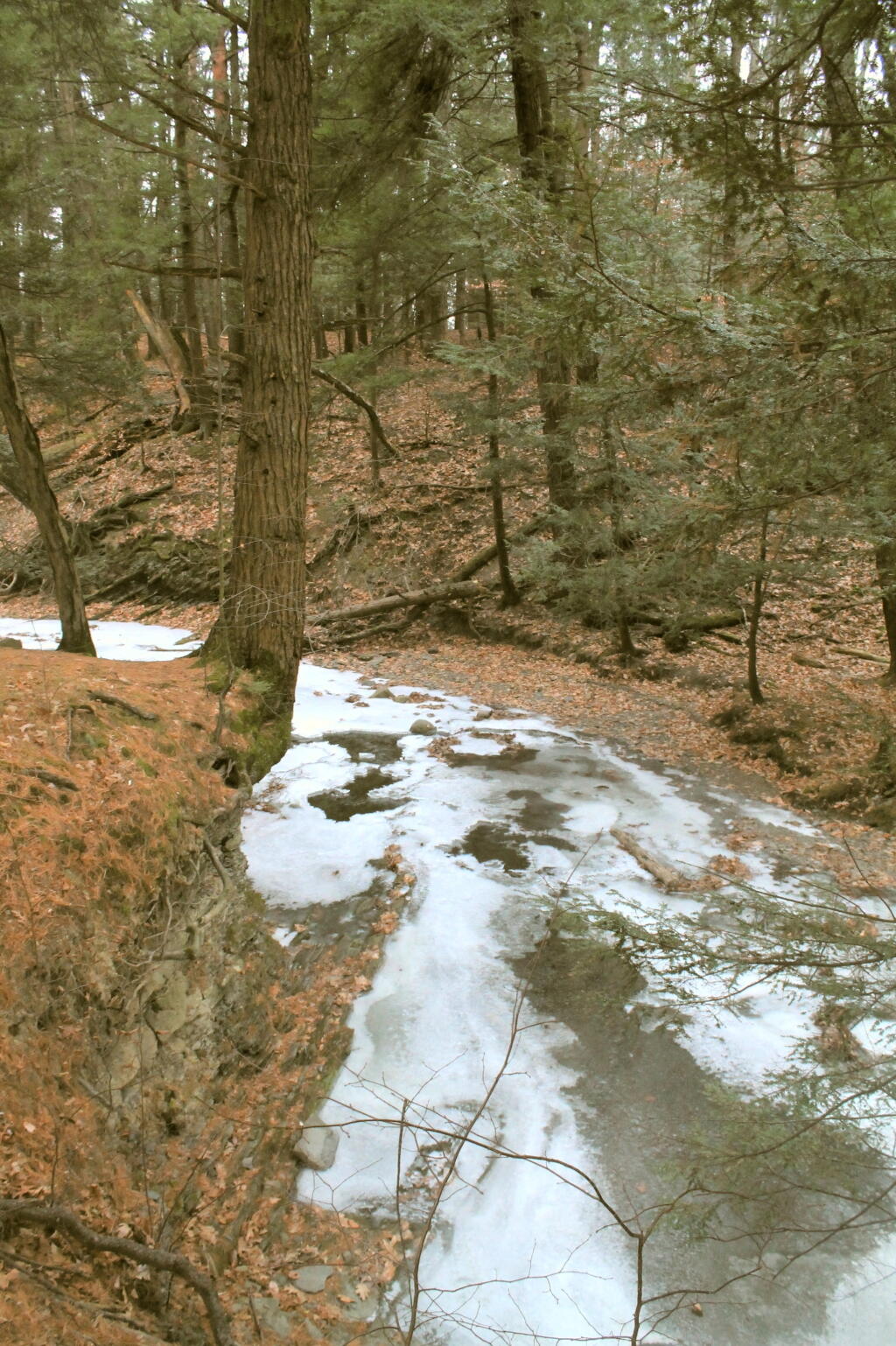 Photo: Vlomans Kill Carved Into Gorge Photo: Vlomans Kill Carved Into Gorge