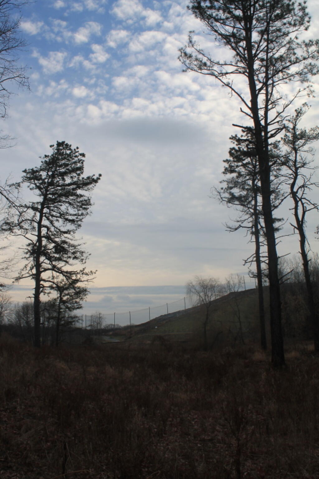 Photo: Landfill Fence in Distance Photo: Landfill Fence in Distance