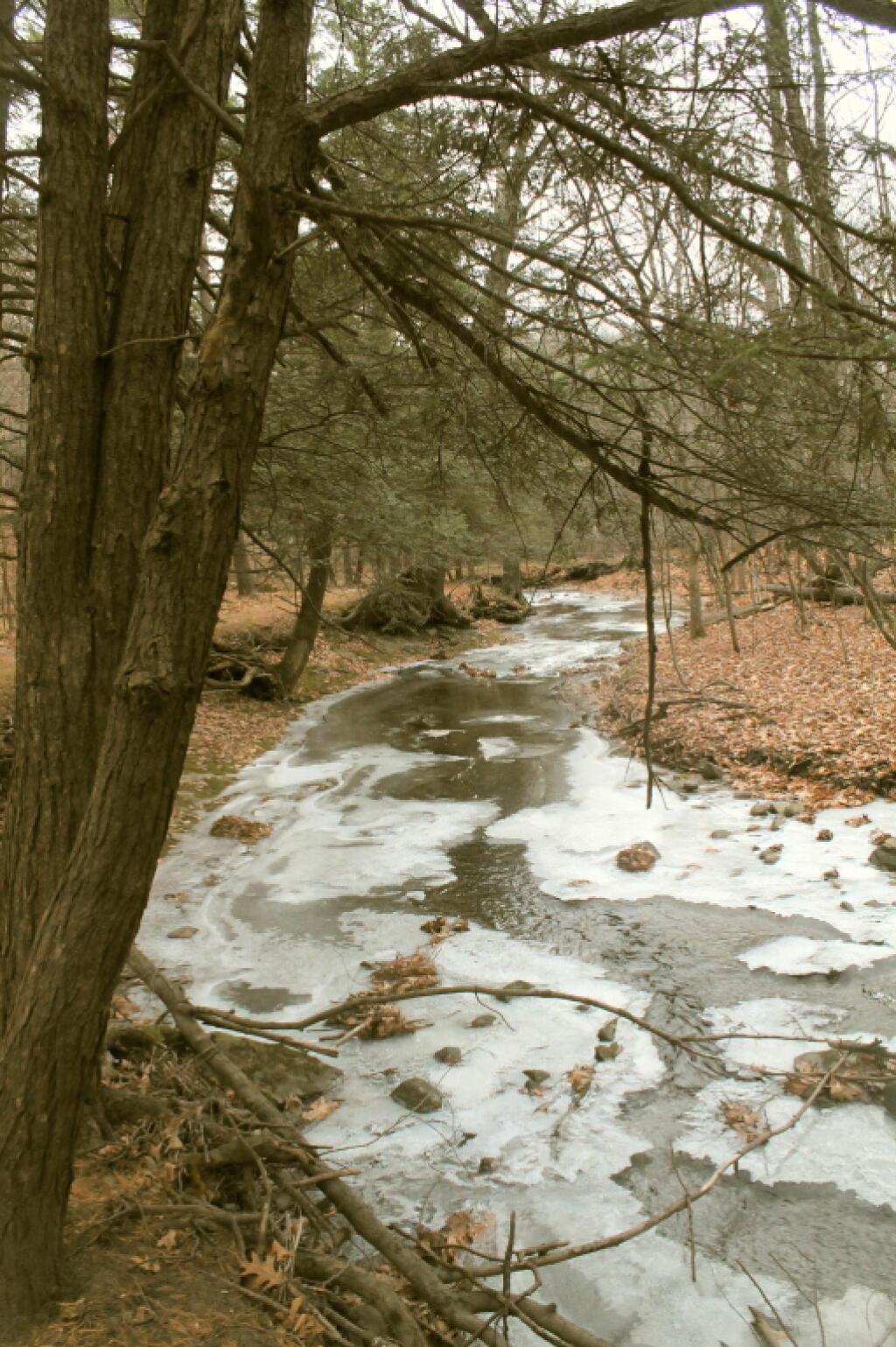 Photo: Walking Along Kill Edge Photo: Walking Along Kill Edge
