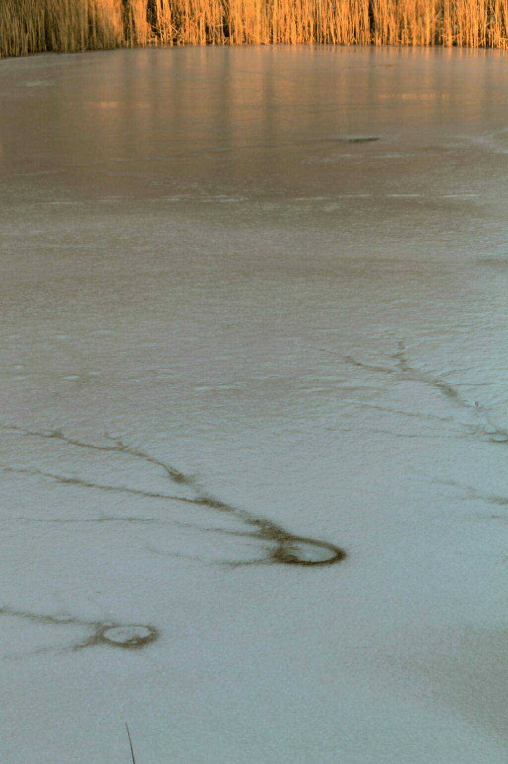 Photo: Research Pond No. 3 Photo: Research Pond No. 3