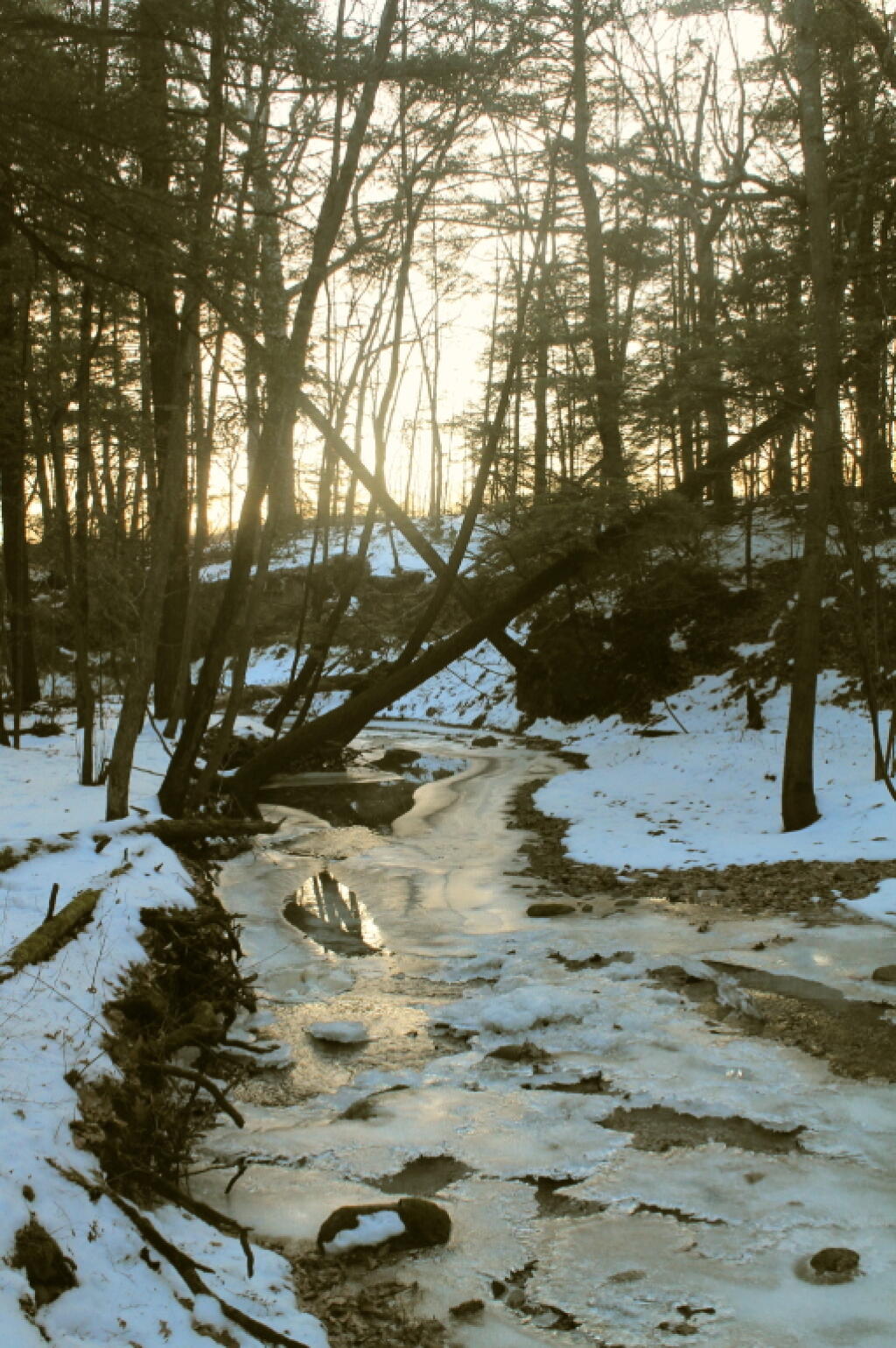 Photo: Wintery Scene