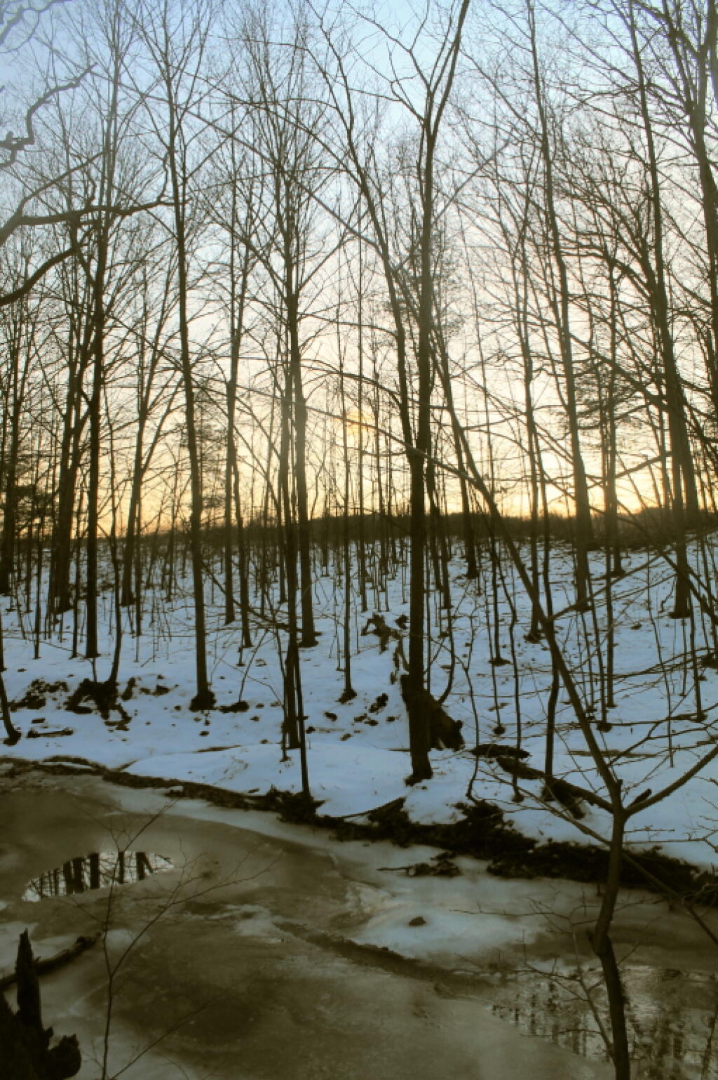Photo: Vlomans Kill at Dusk Photo: Vlomans Kill at Dusk