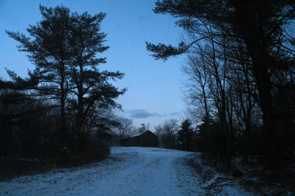 Photo: Firetower in the Distance Photo: Firetower in the Distance