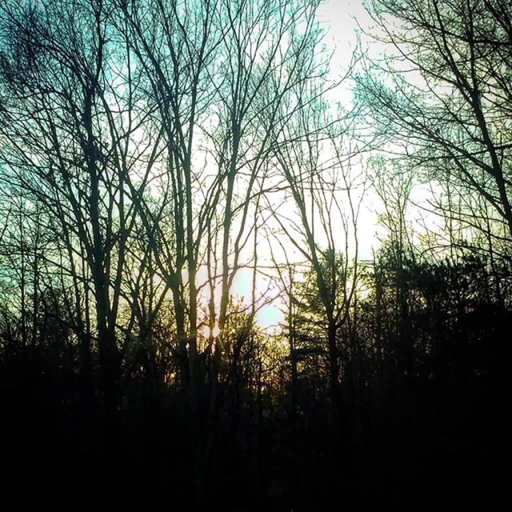 Photo: Along the rail trail Photo: Along the rail trail