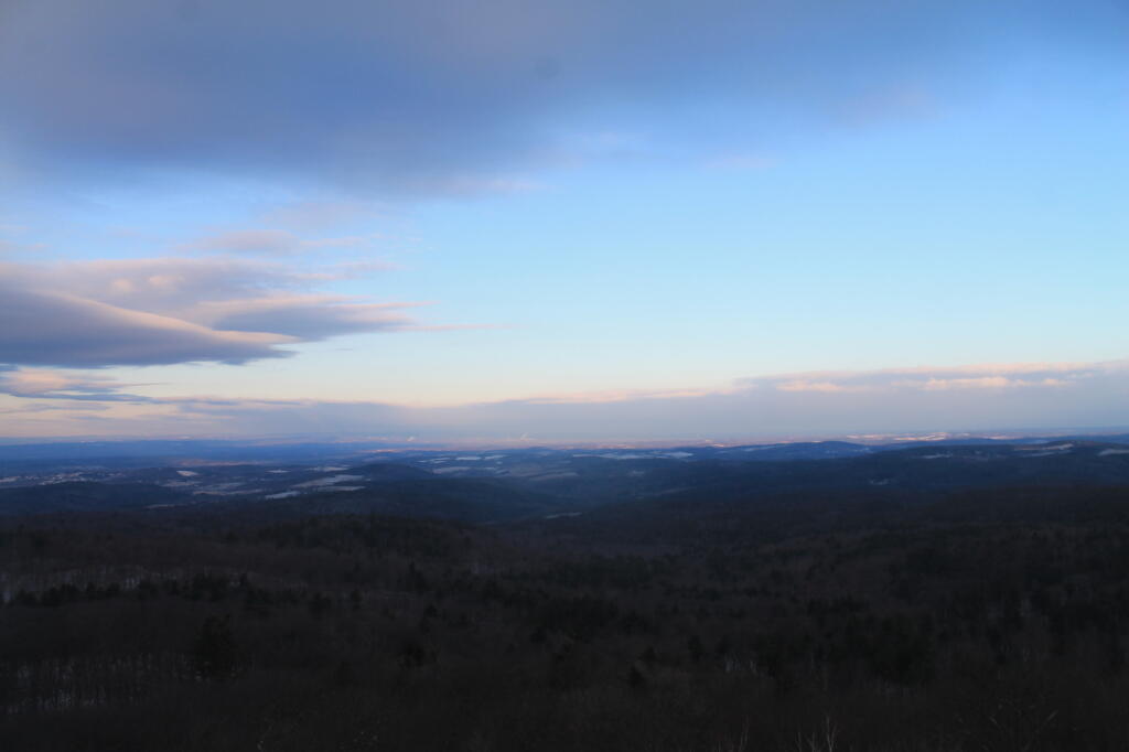 Photo: Partial Clearing Photo: Partial Clearing