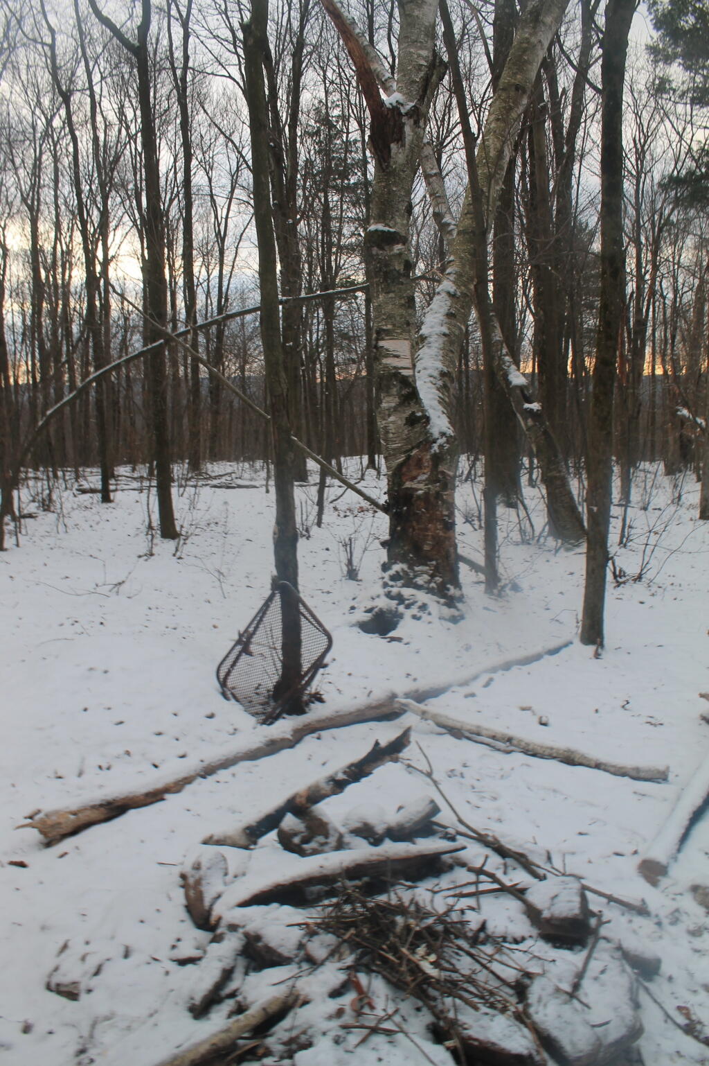 Photo: Second Try at Campfire Photo: Second Try at Campfire
