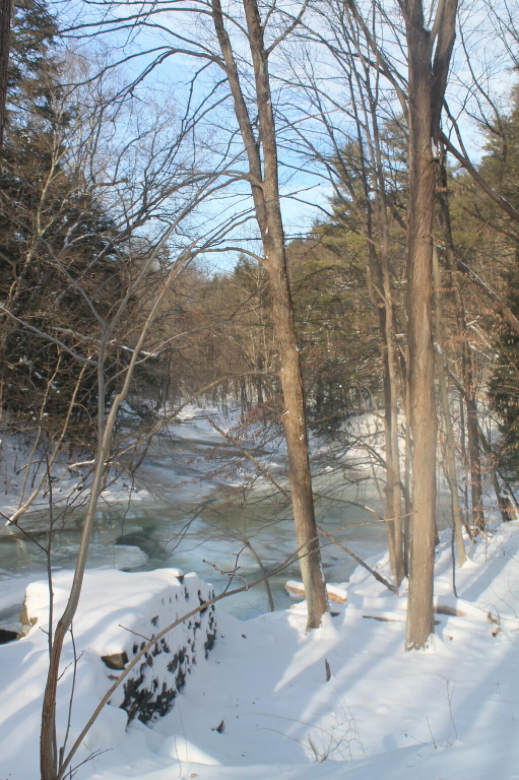 Photo: Creek Photo: Creek