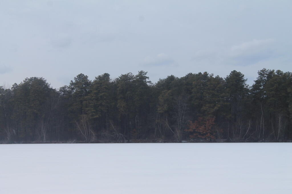 Photo: Across the Lake Photo: Across the Lake