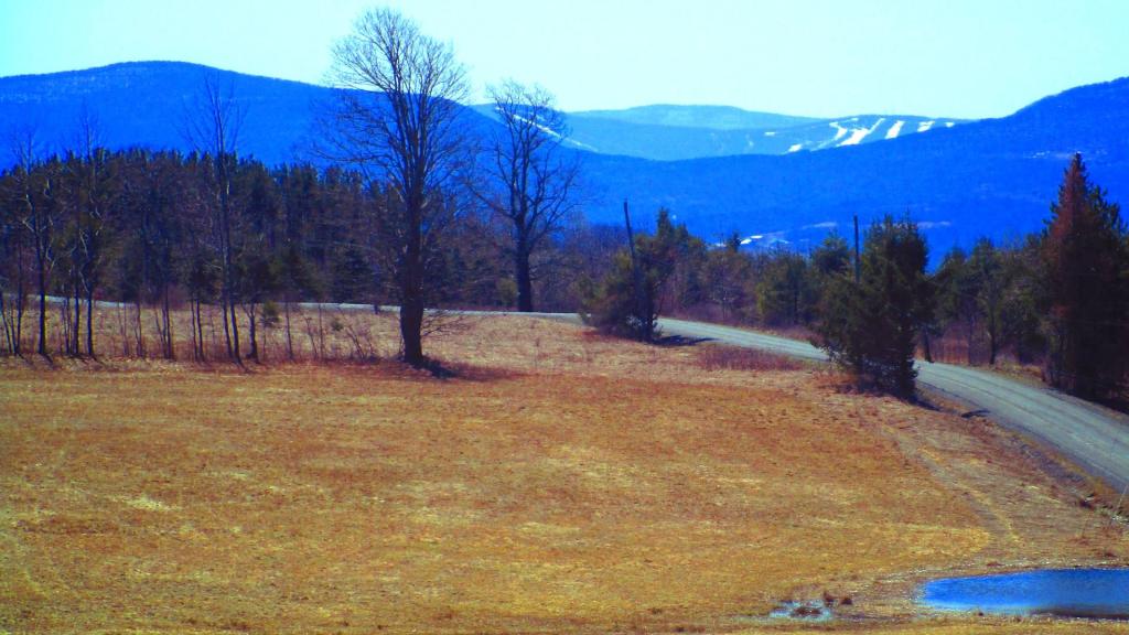 Photo: Travis Hill Road Photo: Travis Hill Road