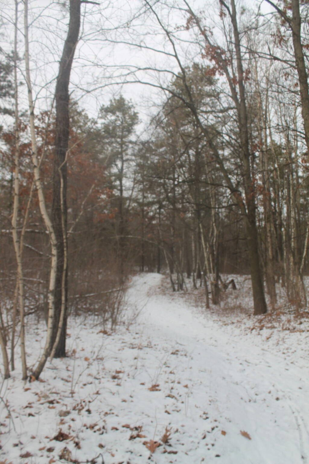 Photo: Into the Forbidden Zone Photo: Into the Forbidden Zone