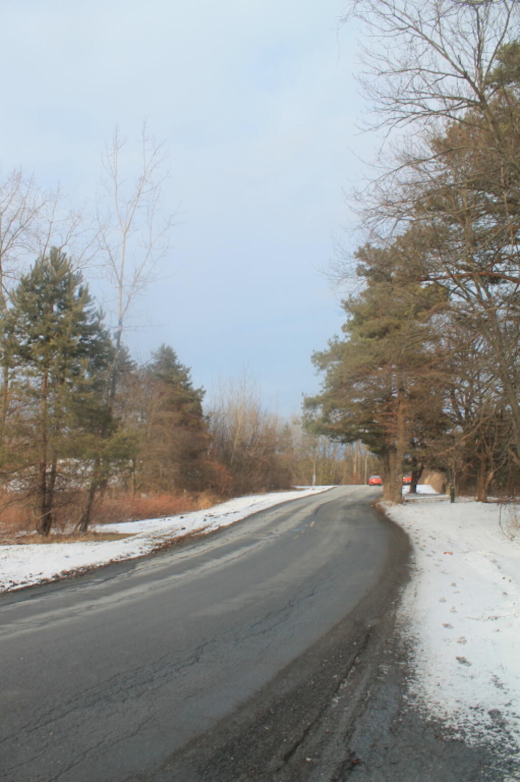 Photo: Rapp Road Photo: Rapp Road