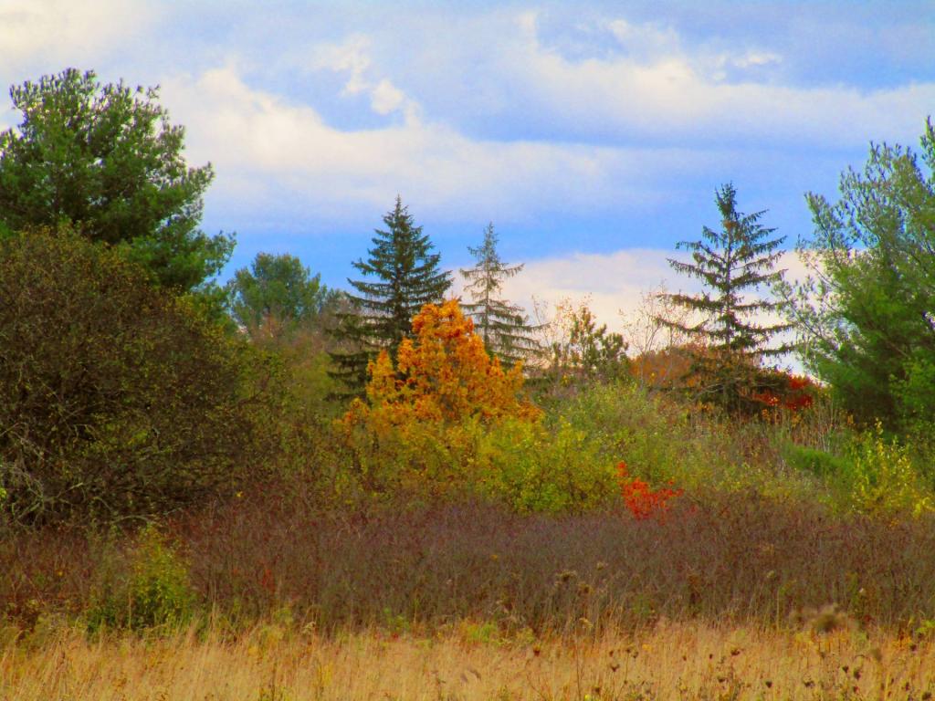 Photo: Five Rivers Photo: Five Rivers