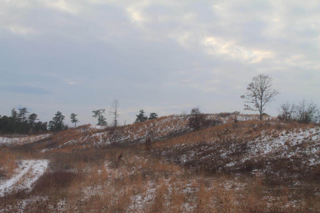 Photo: Photo.2014.01.19 18.01.04 Photo: Photo.2014.01.19 18.01.04