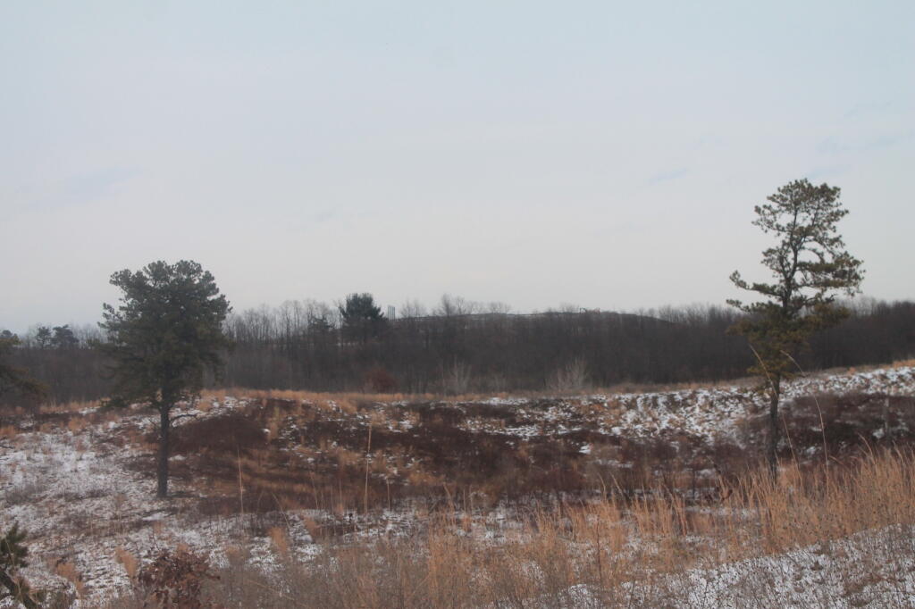 Photo: East off Blueberry Hill Photo: East off Blueberry Hill