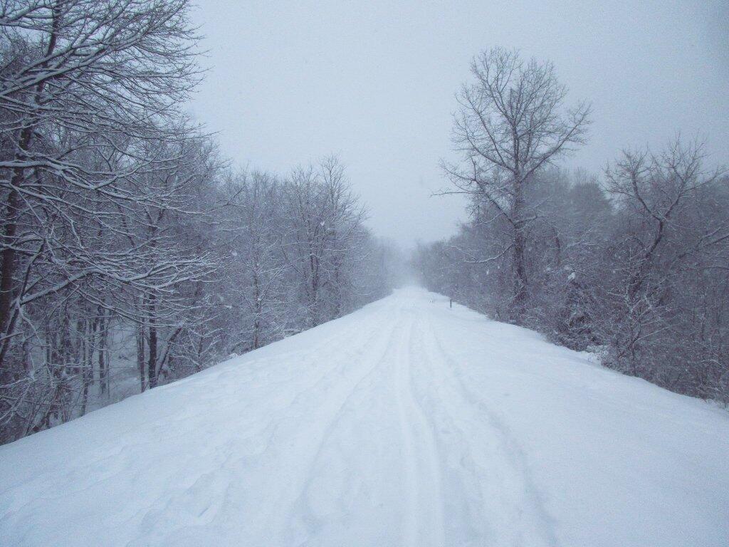 Photo: Along The Rail Trail Photo: Along The Rail Trail