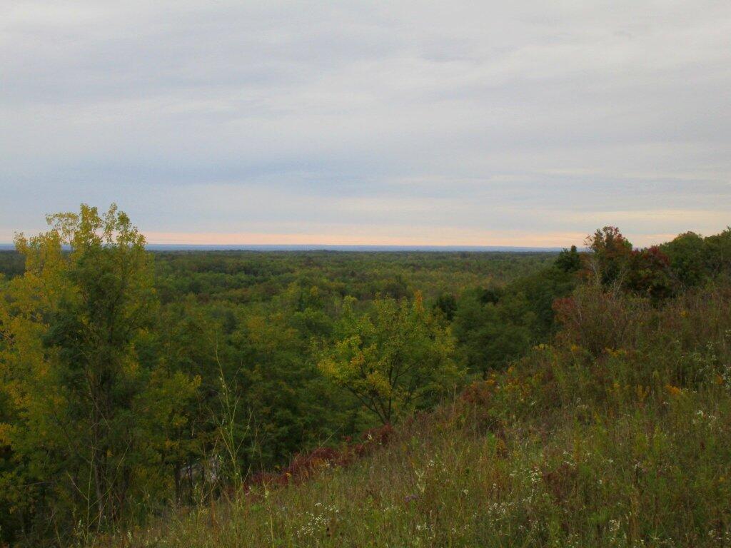 Photo: North Towards Oneida Lake Photo: North Towards Oneida Lake