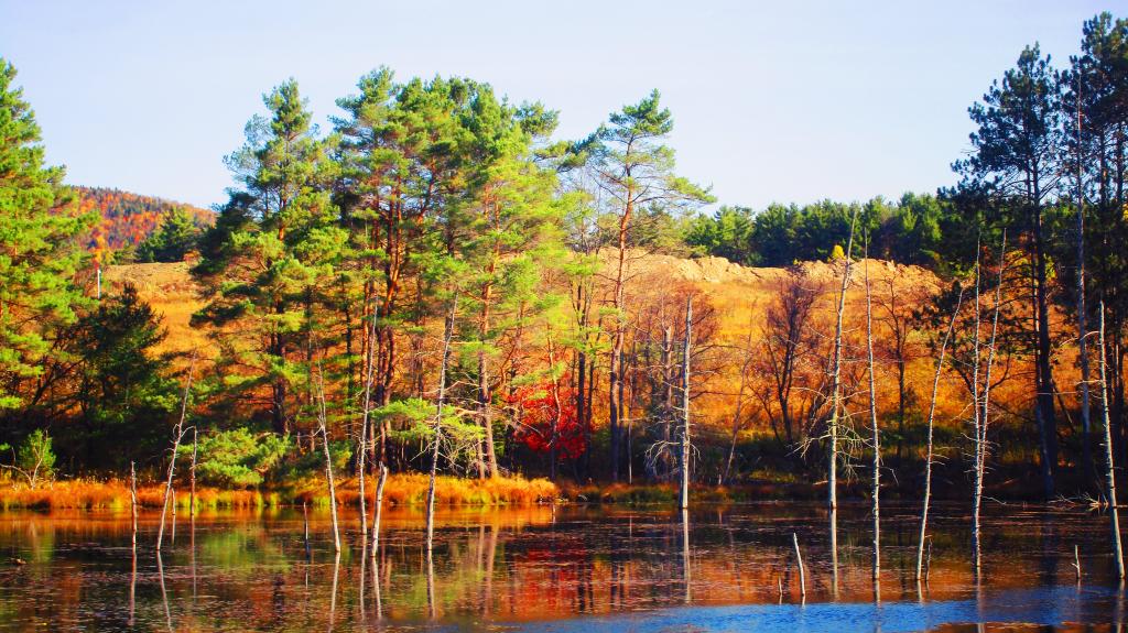 Photo: Saranac Lake Garbage Dump Photo: Saranac Lake Garbage Dump