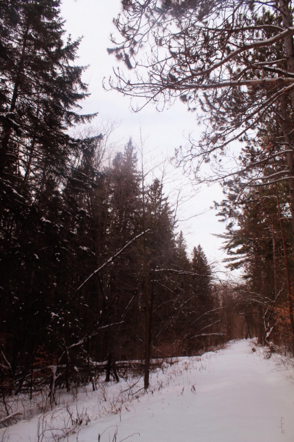 Photo: Quiet Walk Photo: Quiet Walk