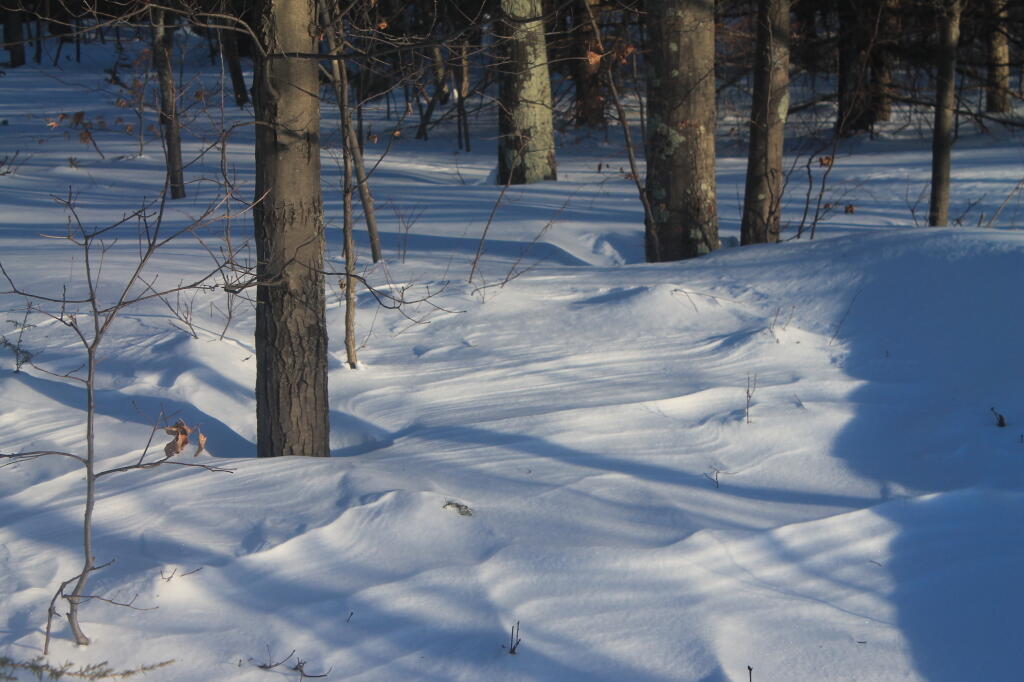 Photo: More Snowbanks Photo: More Snowbanks