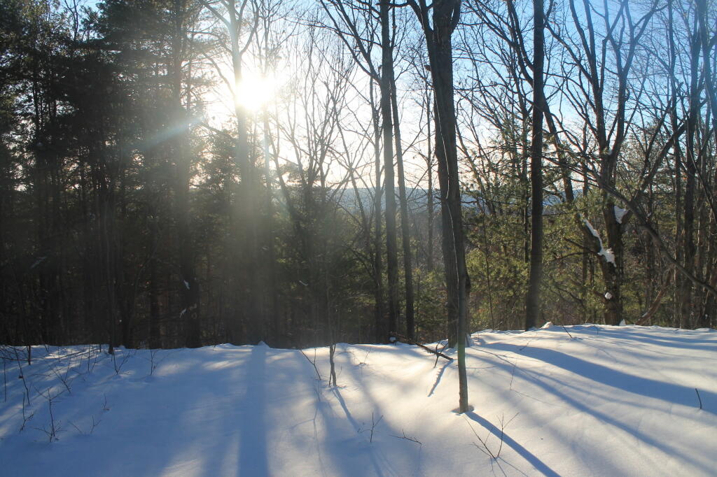 Photo: Bright Sun Photo: Bright Sun
