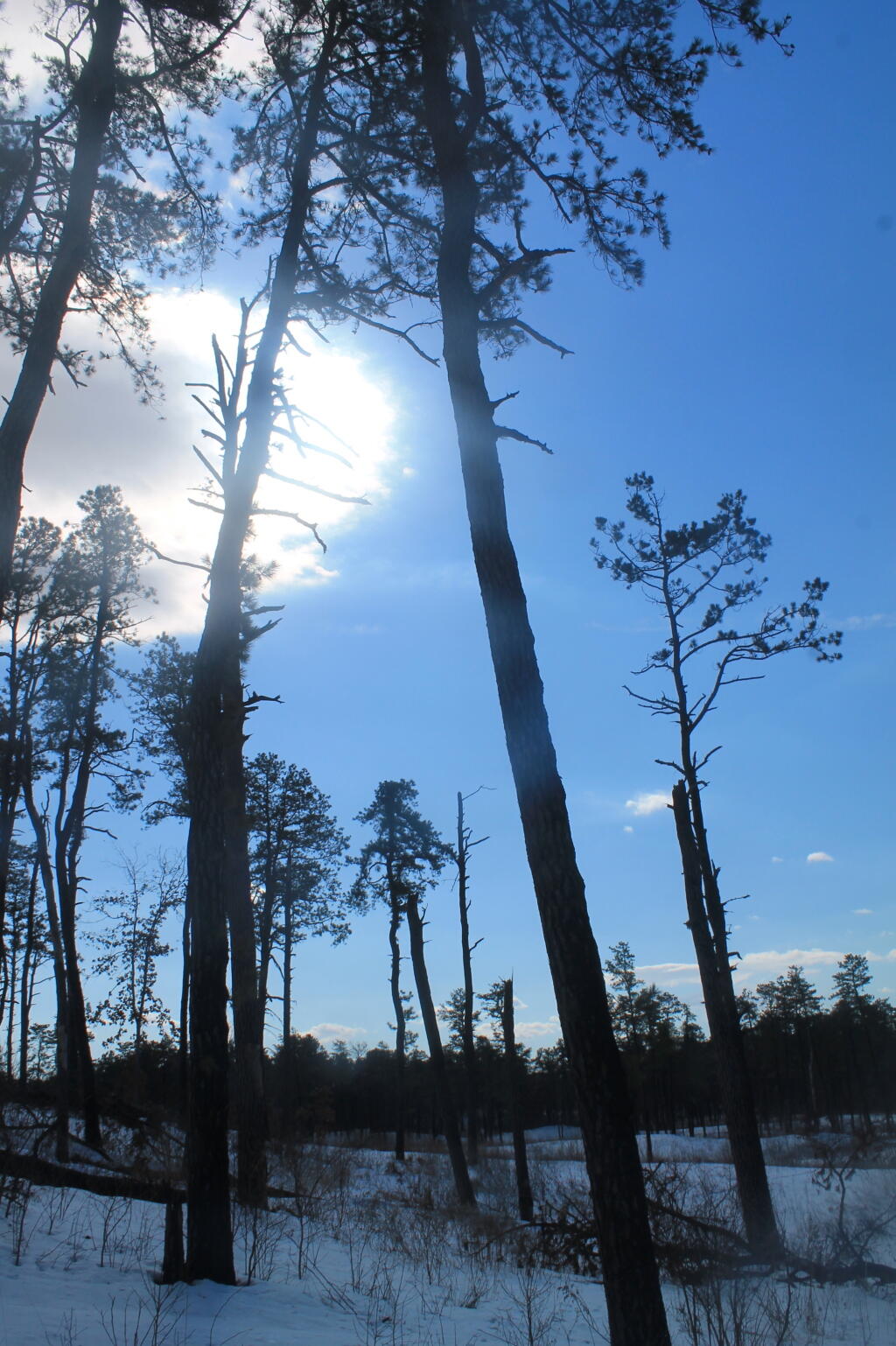 Photo: Sun Peaking Out Photo: Sun Peaking Out