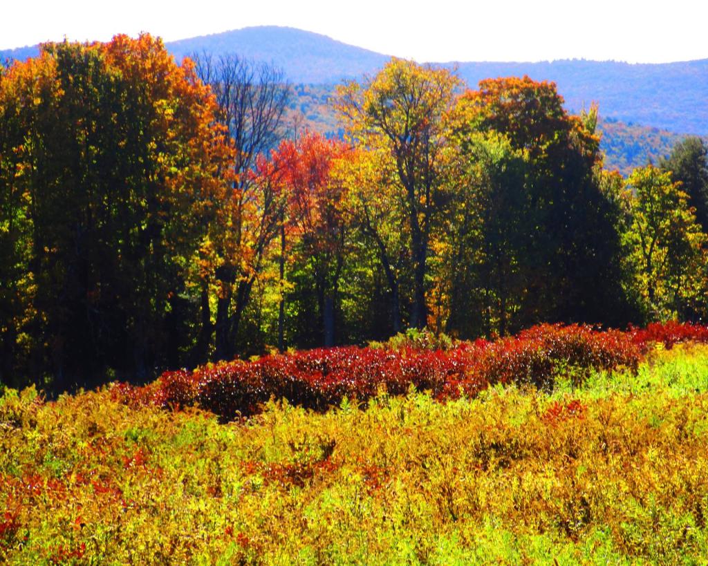 Photo: Colors of Autumn Photo: Colors of Autumn