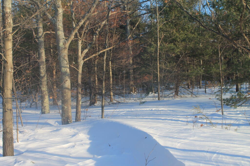 Photo: Deep Snow Up Top Photo: Deep Snow Up Top