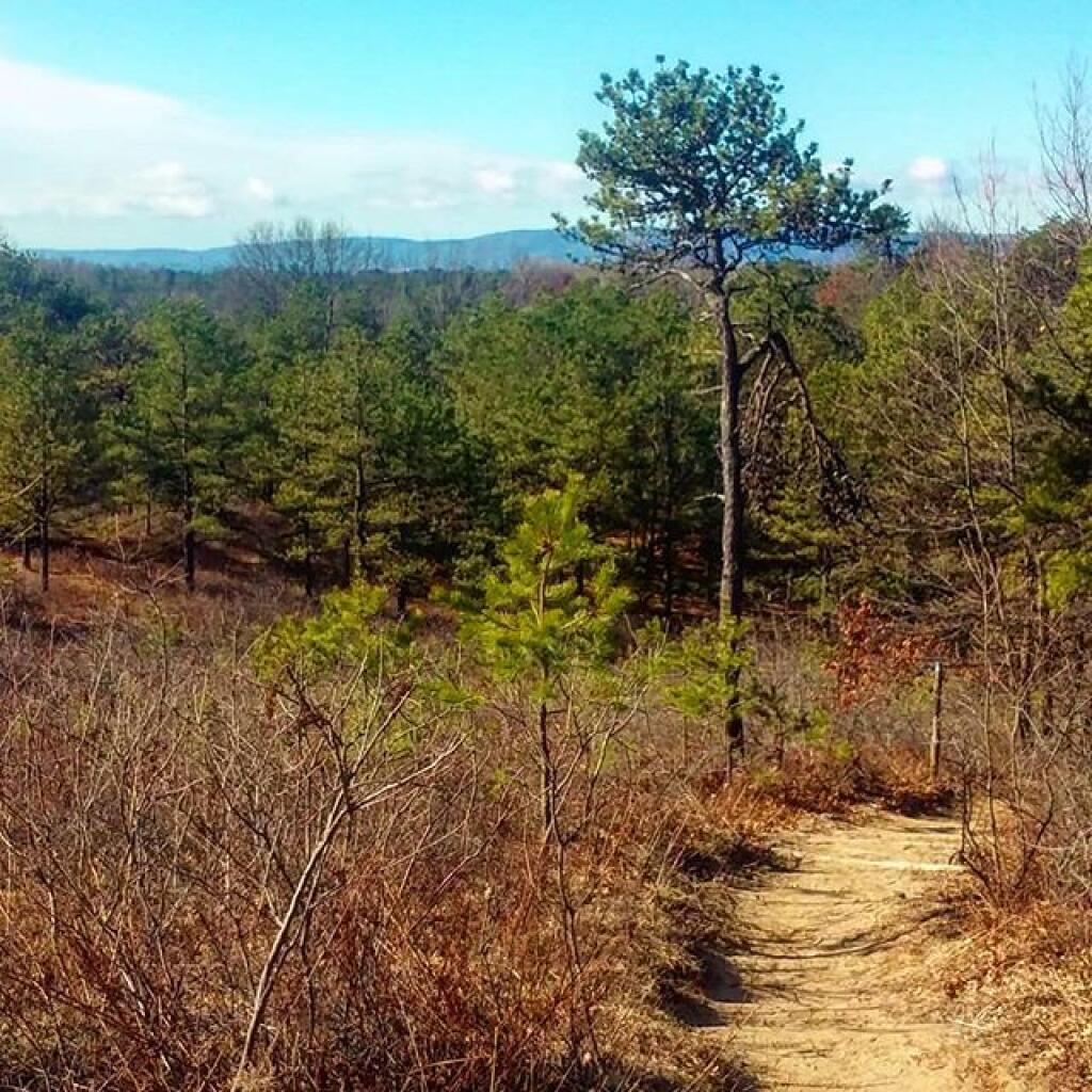 Photo: Stunning day Photo: Stunning day