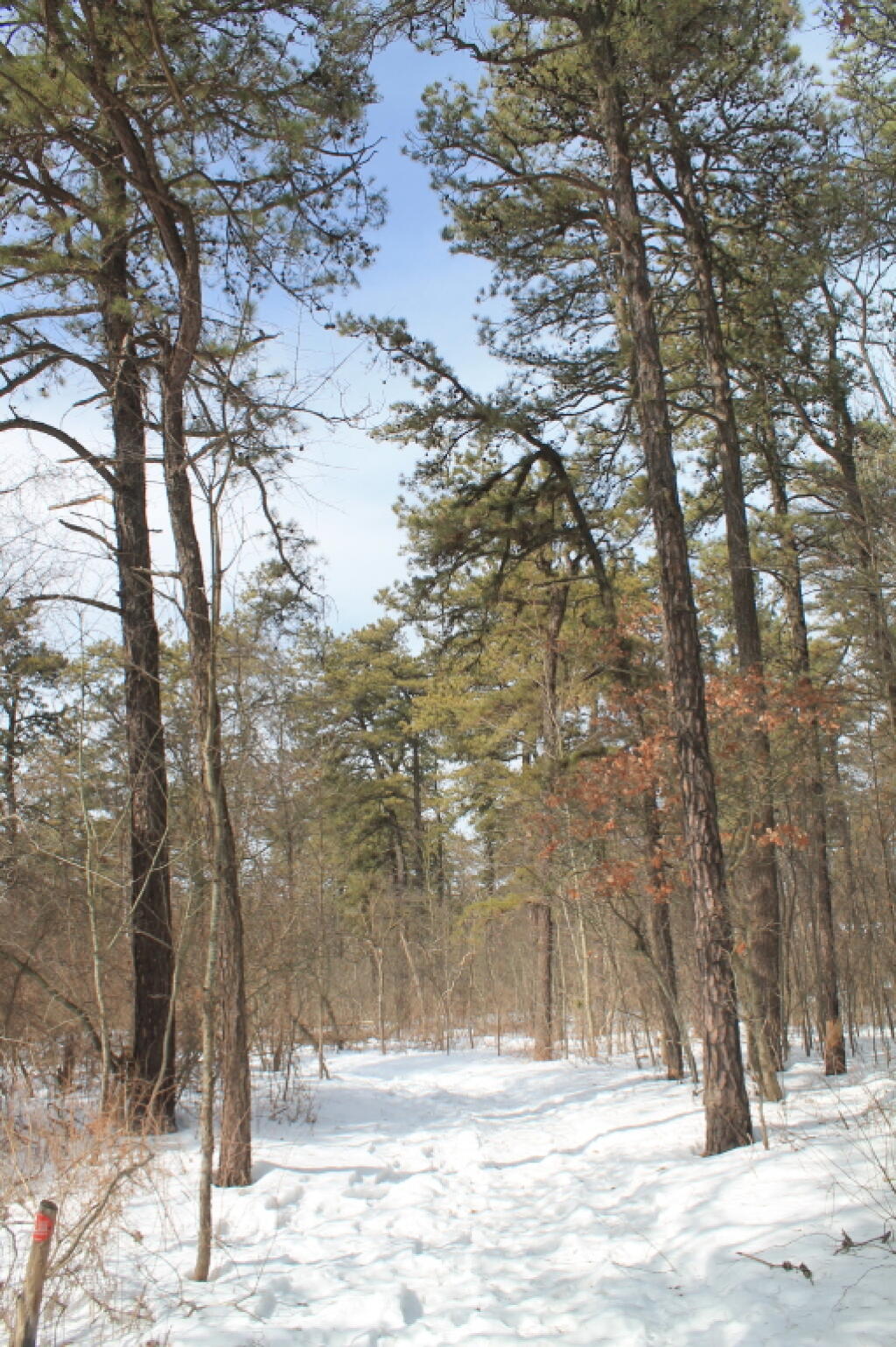 Photo: Other Side of New Karner Road Photo: Other Side of New Karner Road