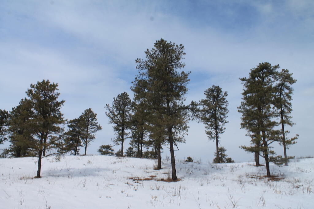 Photo: West Barriens Photo: West Barriens