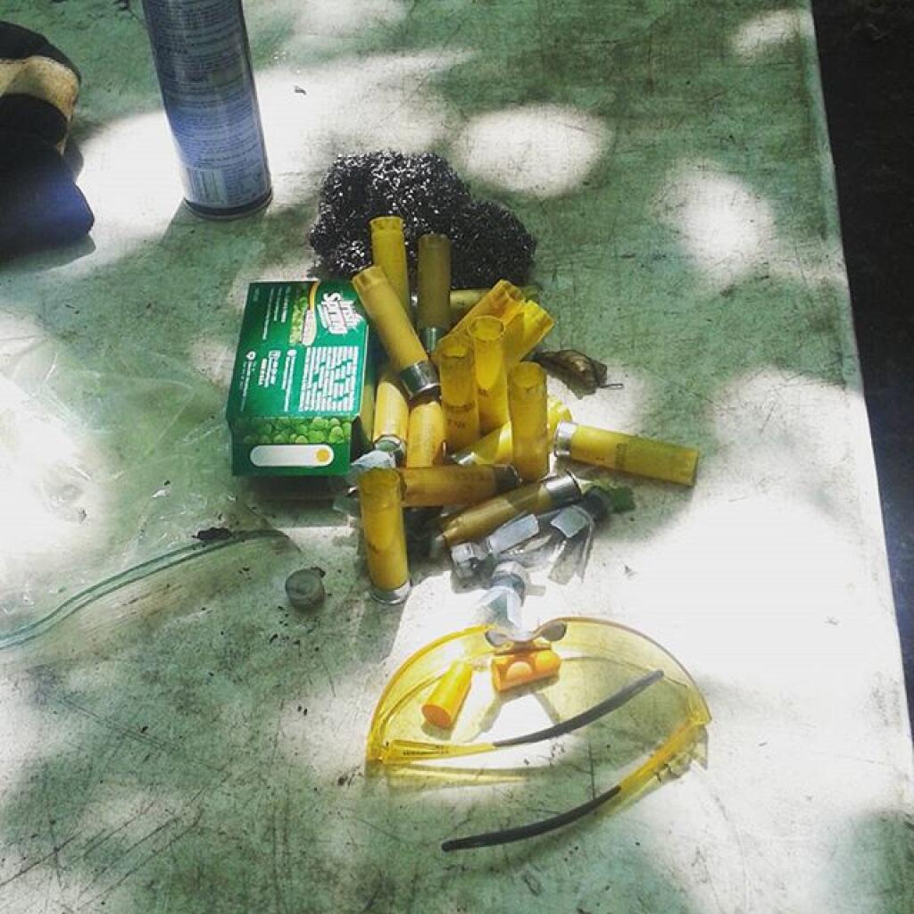 Photo: Sunday morning fun