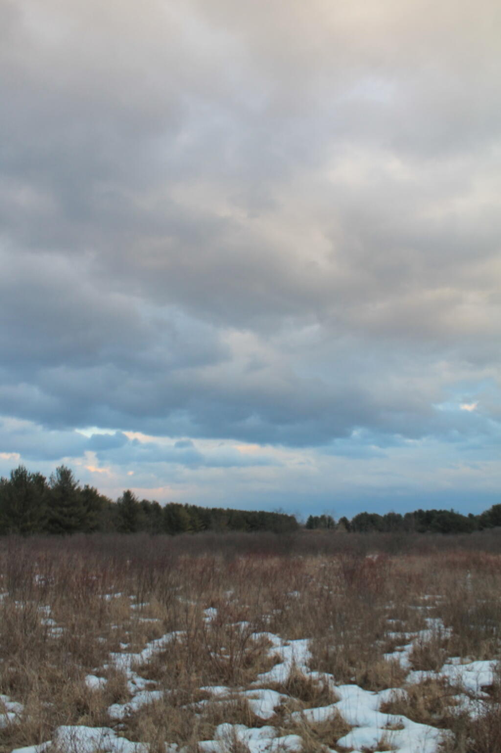 Photo: Across the Field Photo: Across the Field
