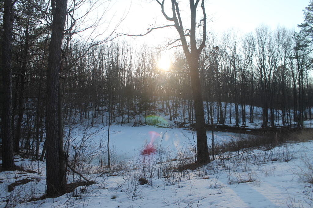 Photo: Sunset Over the Pond Photo: Sunset Over the Pond