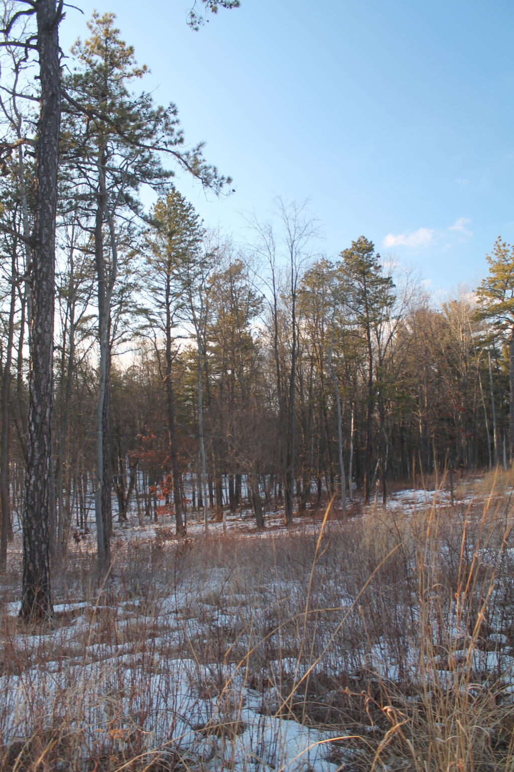 Photo: Open Area Photo: Open Area