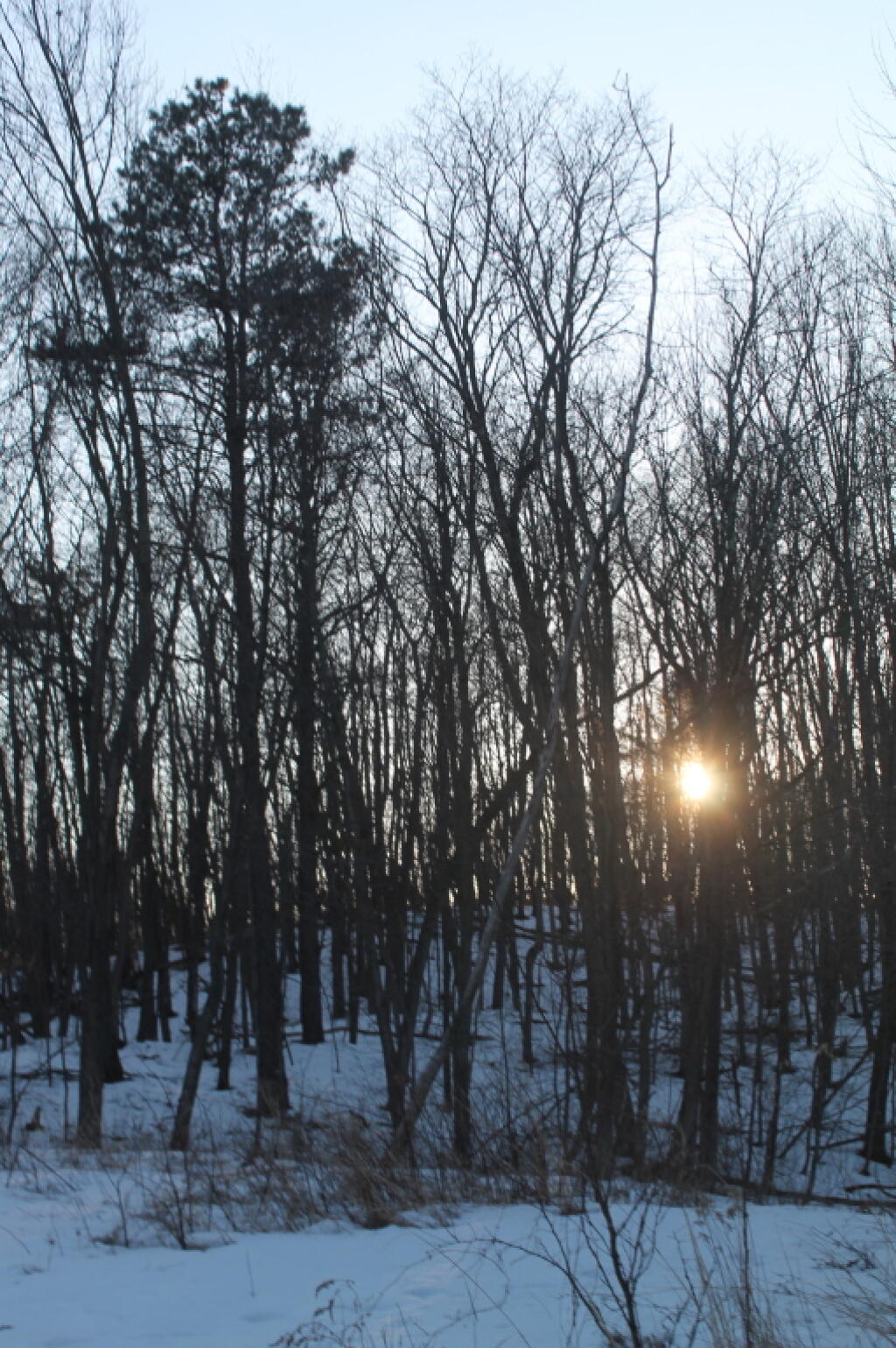 Photo: Setting Sun Over a Drumlin Photo: Setting Sun Over a Drumlin
