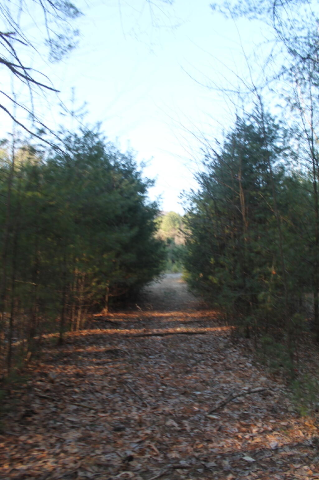 Photo: Path to Old Dump at Moreau Lake State Park Photo: Path to Old Dump at Moreau Lake State Park