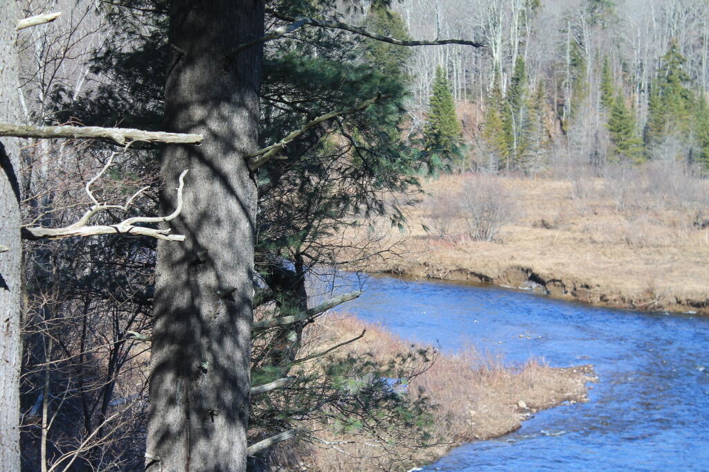 Photo: East Branch of Sacandaga River Photo: East Branch of Sacandaga River